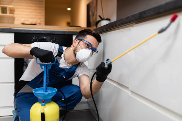 Best Pest Control Near Me  in Gerdine, AL