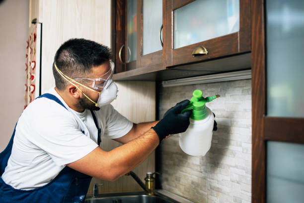 Best Pest Removal Services  in Gerdine, AL
