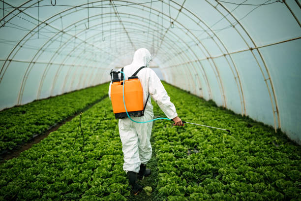 Best Pest Removal Services  in Gerdine, AL