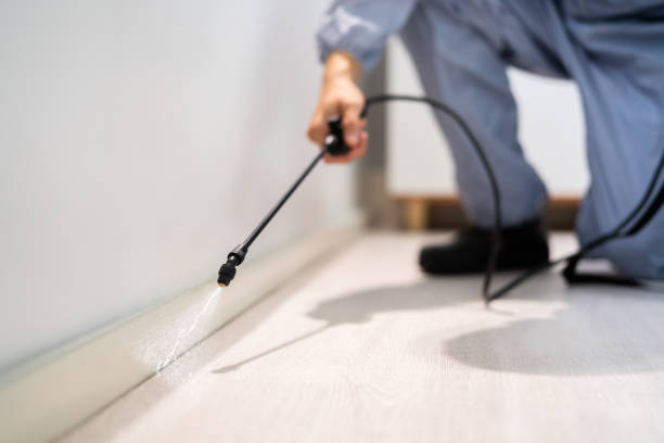 Best Termite Control Services  in Gerdine, AL