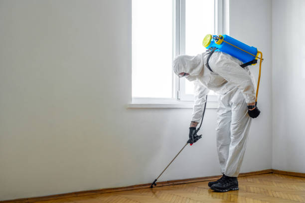 Best Affordable Pest Control Services  in Gerdine, AL