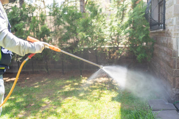 Best Pest Prevention Services  in Gerdine, AL