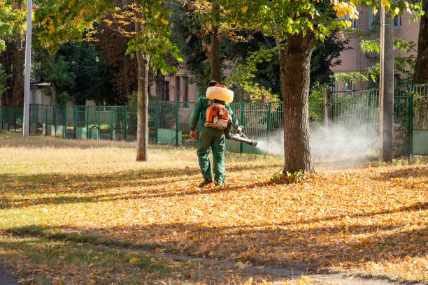 Best Mosquito Control Services  in Gerdine, AL