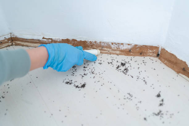 Best Pest Control for Businesses  in Gerdine, AL